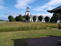 IMG_20220622_094147.jpg