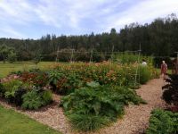 Im Garten von Marbacka
