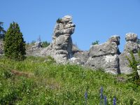 Im Naturreservat