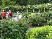 Im botanischen Garten in Visby