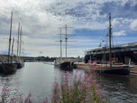 Insel Djurgarden 