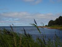 Küste in Eckerö