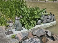 Kreuzende Hasen, im Hafen von Söderköping