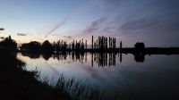 Kreuzfahrt Göta-Kanal - Abendspaziergang in Hajstorp