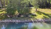 Kreuzfahrt Göta-Kanal - Fahrt entlang des Kanals