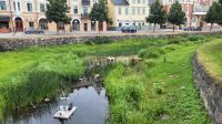 Kreuzfahrt Göta-Kanal - Rundgang in Söderköping
