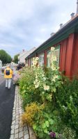 Kreuzfahrt Göta-Kanal - Spaziergang auf der Insel Marstrand
