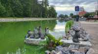 Kreuzfahrt Göta-Kanal - Spaziergang nach Söderköping