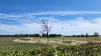 Kreuzfahrt Göta-Kanal - Spaziergang zum Vreta-Kloster