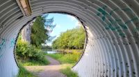Kreuzfahrt Göta-Kanal - Spaziergang zur Schleusentreppe in Borenshult