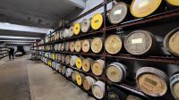 Kreuzfahrt Göta-Kanal - schwedische Whiskeys auf der Insel Fjäderholmarna in Stockholm