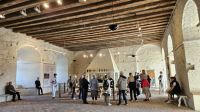 Kreuzfahrt Götakanal - Besuch in Vadstena mit Schlossführung
