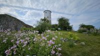 Kreuzfahrt Götakanal - Spaziergang an der Schlossruine Stegeborg