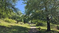 Kreuzfahrt Götakanal - Spaziergang auf der Wikingerinsel Birka