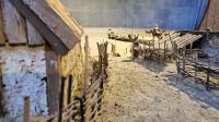 Kreuzfahrt Götakanal - Wikingermuseum auf Birka