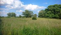 Landschaft in Dänemark
