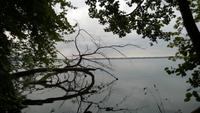Lyngby am See