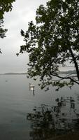 Lyngby am See