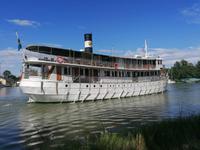 MS Diana