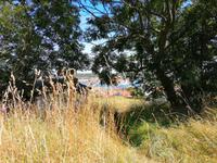 Marstrand (18)
