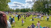 Mittsommer Wiese beim Schloß Grimpsholm