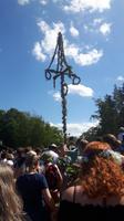 Mittsommer im Freilichtmuseum Skansen - Aufstellen des Maibaumes...