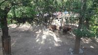 Mittsommer im Freilichtmuseum Skansen