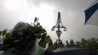 Mittsommer im Regen