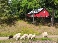 Neue Reisegruppe?