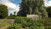 Rosendals Trädgaard