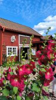 Schweden. Eksjö