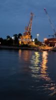 Schweden. Stockholm. Giraffe am Abend
