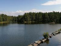 See Viken