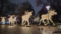 Silvesterreise Stockholm - Die Elche am Kungsträdgården