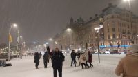 Silvesterreise Stockholm - Prosit Neujahr