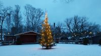 Silvesterreise Stockholm - Rundgang im Skansen