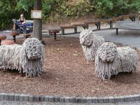 Skansen Stockholm