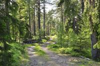 Småland