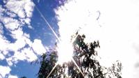 Sonne am Mittsommerabend