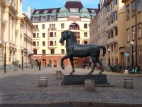 Stallgatan