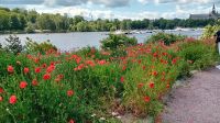 Stockholm Mälaren-See