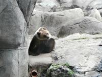 Stockholm Skansen
