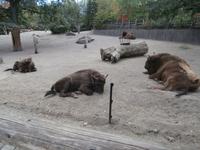 Stockholm Skansen