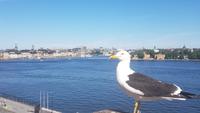 Stockholm