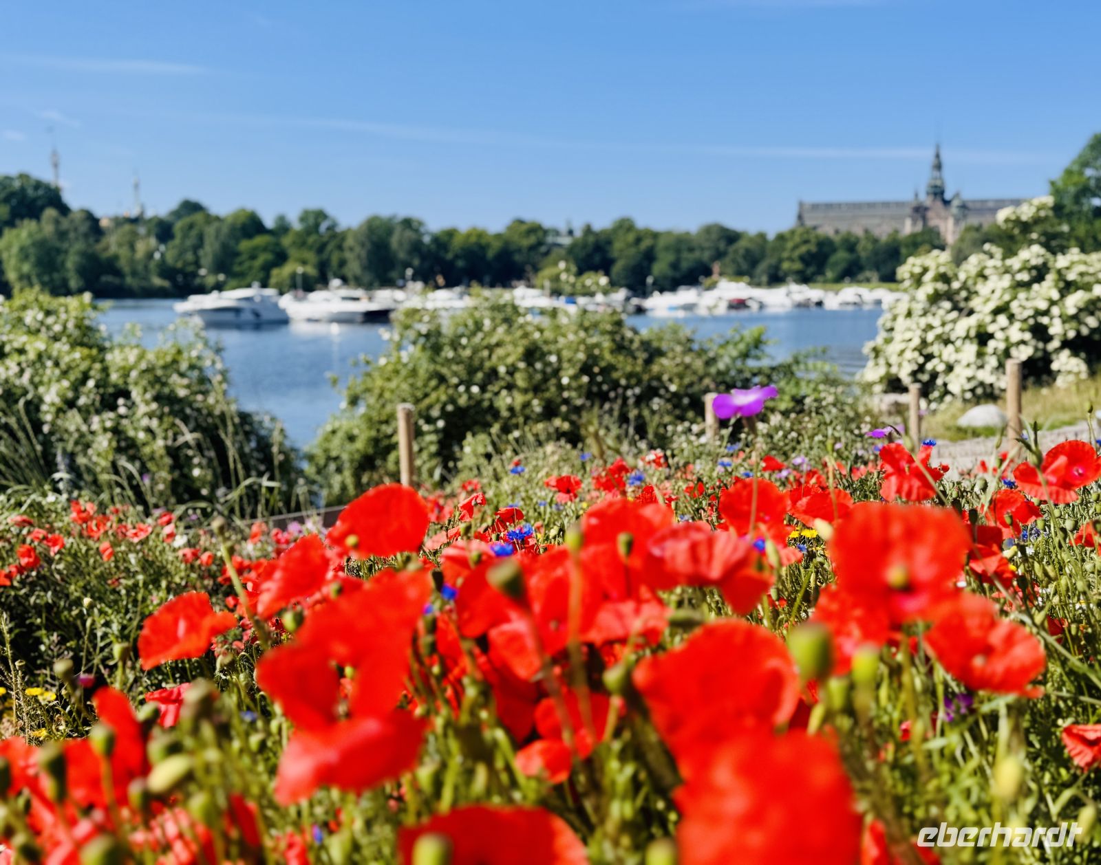 Tag 10 - Stockholm 