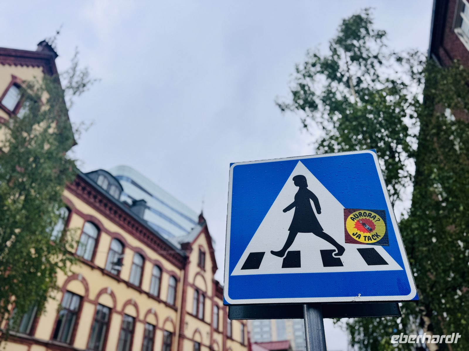 Tag 7 - Umeå