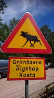 Verkehrsschilder in Schweden 