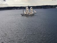 Während der Kieler Woche treffen sich die 