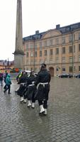 Wachwechsel im Regen