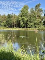 Wasserpflanzen